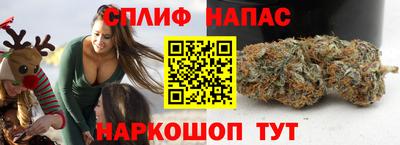 стафф Балаково