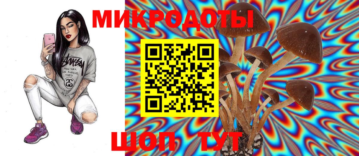 Грязи  Галлюциногенные грибы Psilocybine cubensis  Вход с VPN 