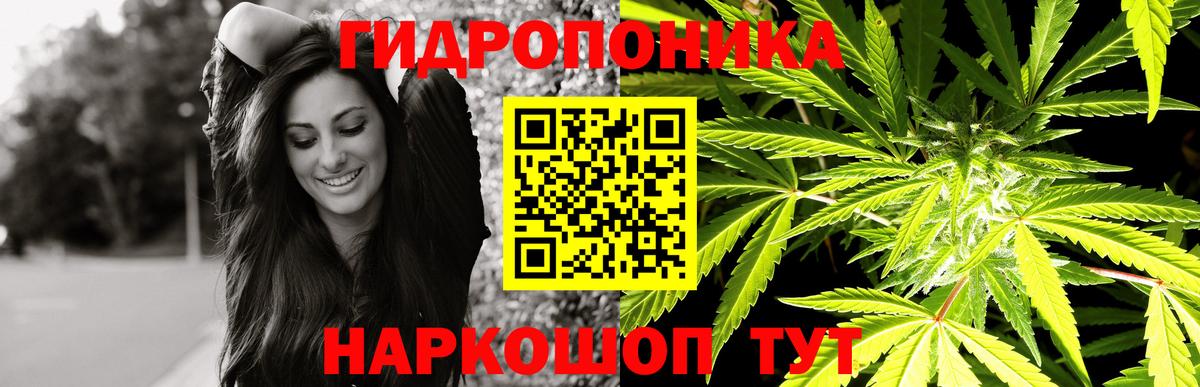 Конопля Amnesia  Каннабис конопля  Шишки марихуана Ganja  Грязи  Вход с VPN 